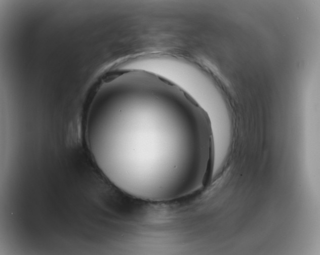 X0000089701214200707051637