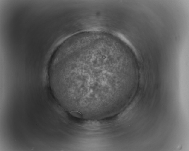 X0000089701215200707051637