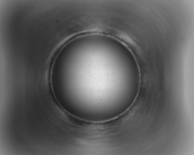 X0000089701216200707051637