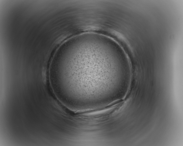 X0000089701217200707051637