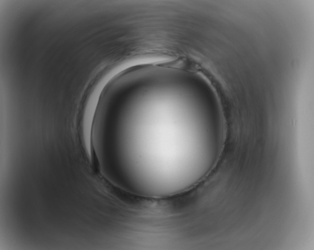 X0000089701218200707051637