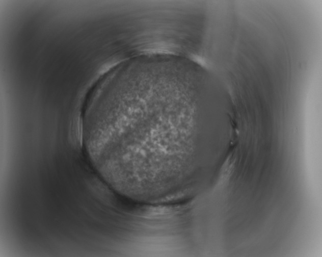 X0000089701219200707051637