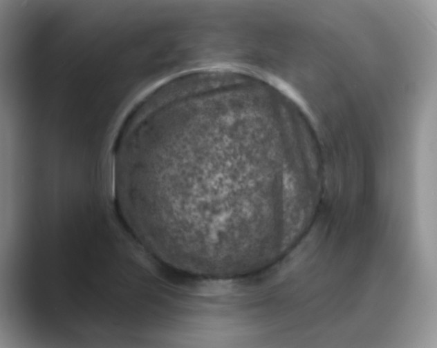 X0000089701223200707051637