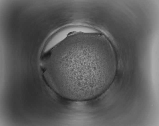 X0000089701224200707051637