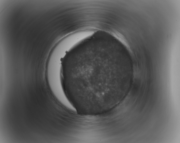 X0000089701226200707051637