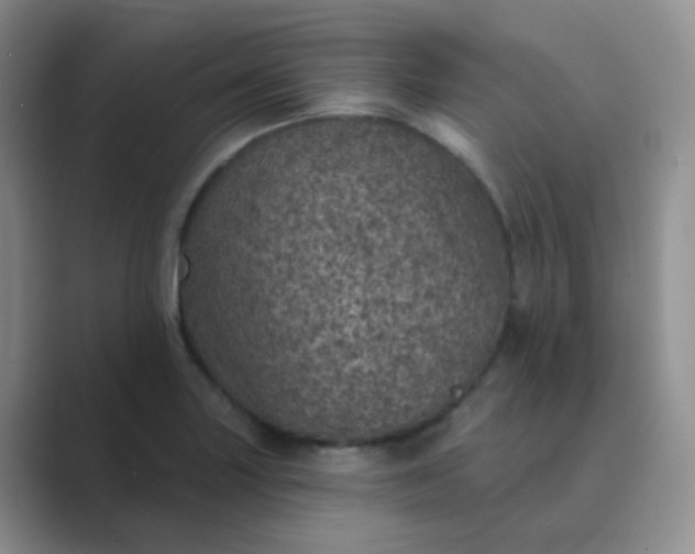 X0000089701227200707051637