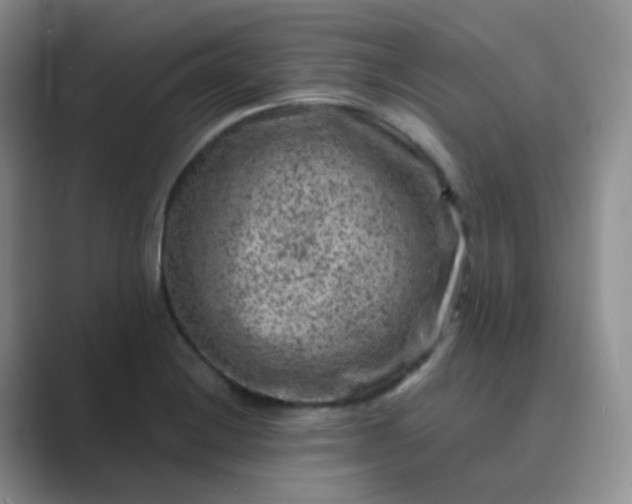 X0000089701228200707051637