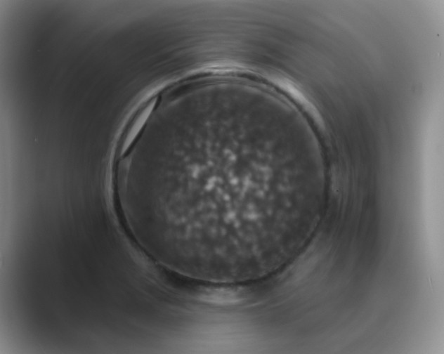 X0000089701229200707051637