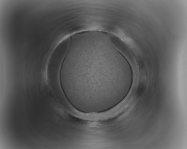 X0000089701230200707051637