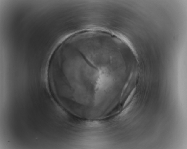 X0000089701231200707051637