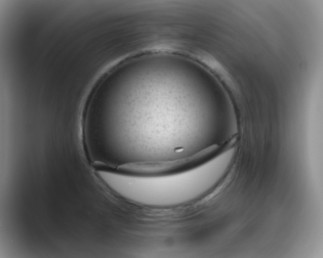 X0000089701232200707051637