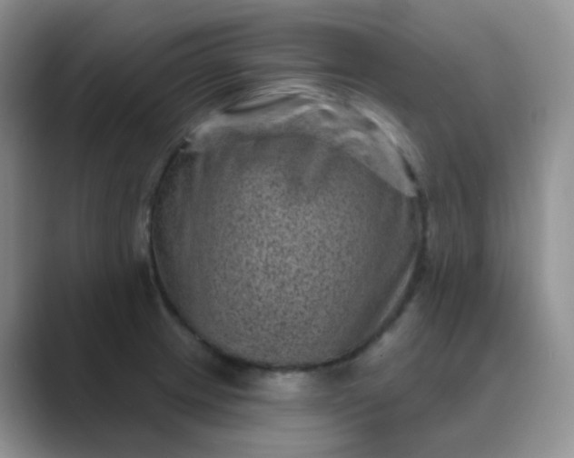 X0000089701233200707051637