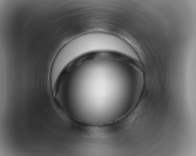 X0000089701234200707051638