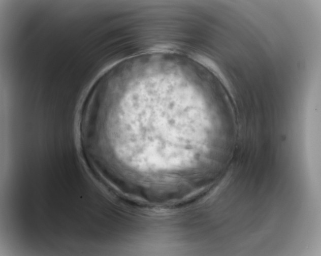 X0000089701235200707051638