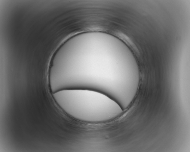 X0000089701236200707051638