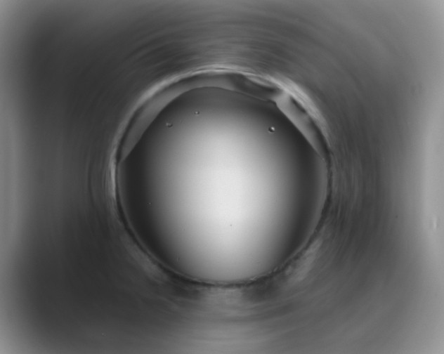 X0000089701238200707051638