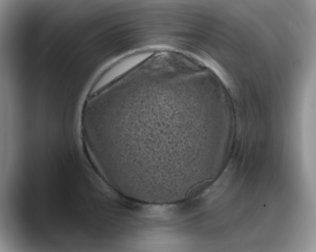 X0000089701240200707051638