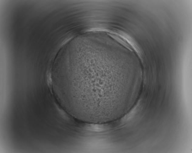 X0000089701241200707051638