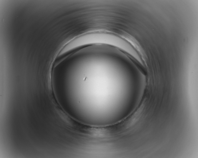 X0000089701242200707051638