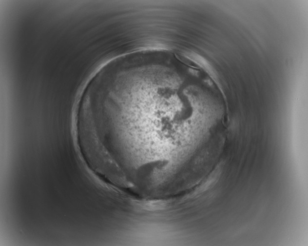 X0000089701243200707051638