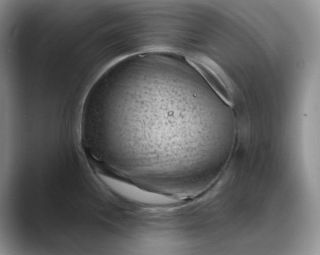 X0000089701244200707051638