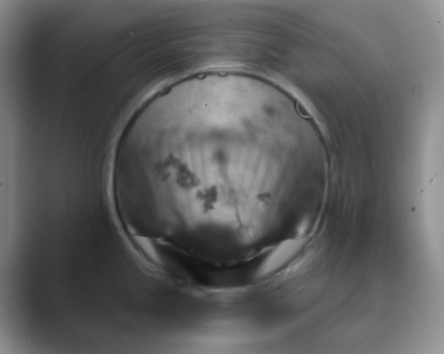 X0000089701245200707051638