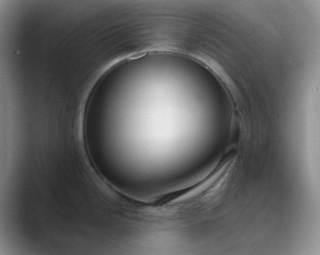 X0000089701246200707051638