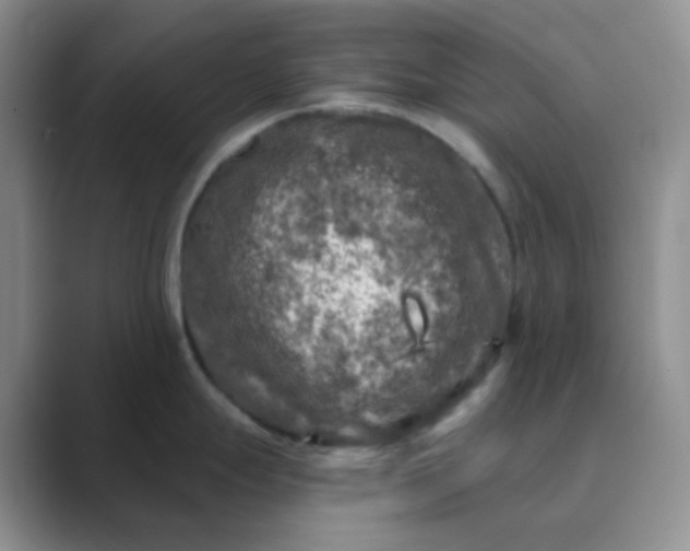 X0000089701247200707051638