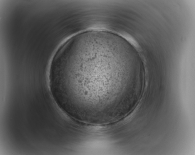 X0000089701248200707051638