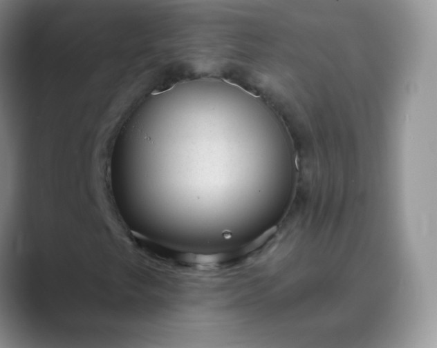 X0000089701249200707051637