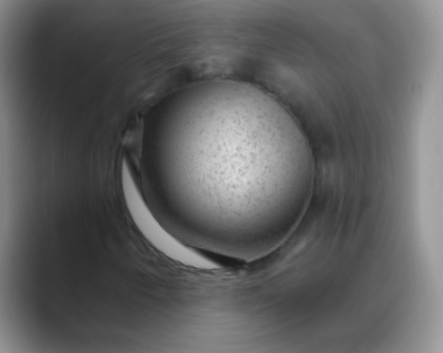 X0000089701250200707051637