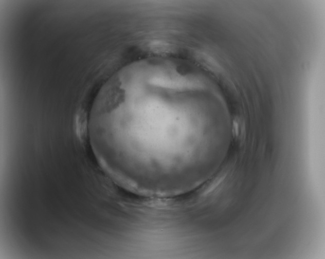 X0000089701251200707051637