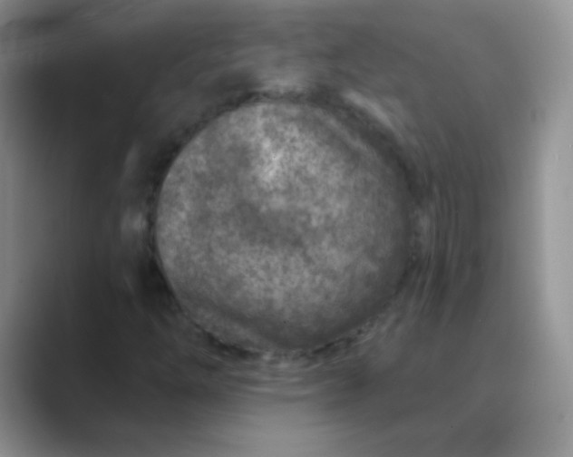 X0000089701254200707051637