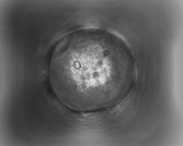 X0000089701255200707051637