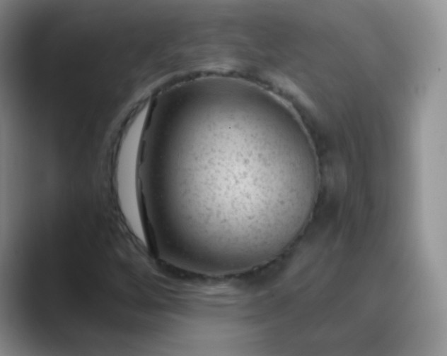 X0000089701256200707051637