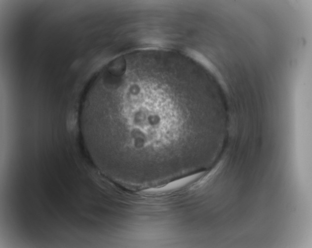 X0000089701259200707051637