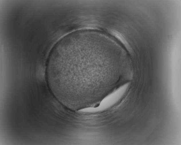 X0000089701260200707051637