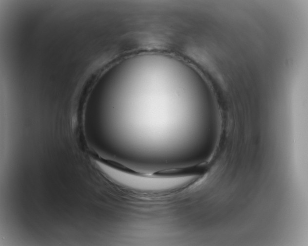 X0000089701261200707051637