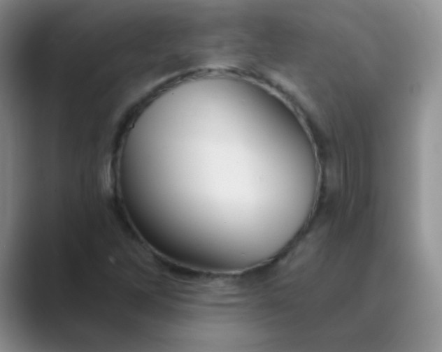 X0000089701262200707051637