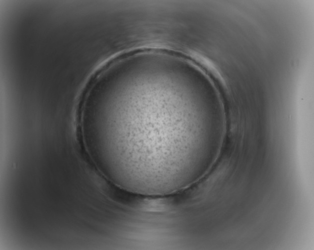 X0000089701264200707051637