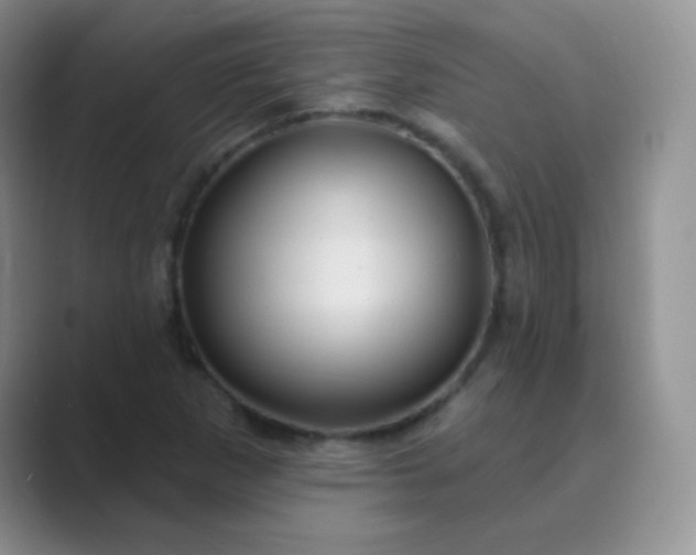 X0000089701265200707051637