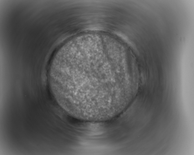 X0000089701266200707051637