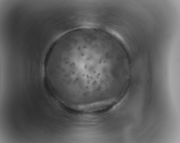 X0000089701267200707051637