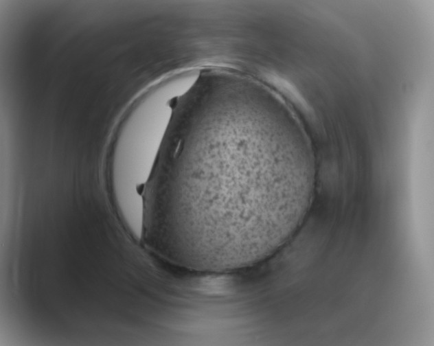 X0000089701268200707051637