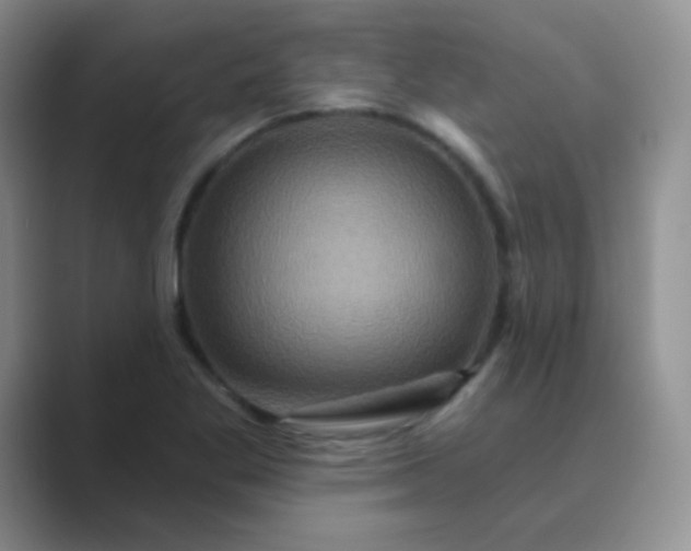 X0000089701269200707051637