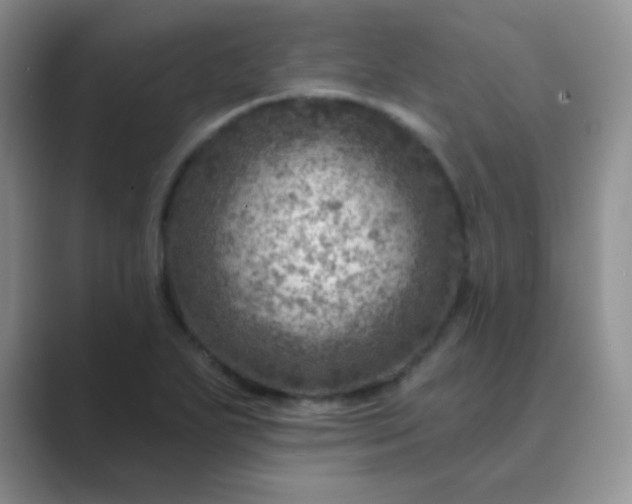 X0000089701271200707051637