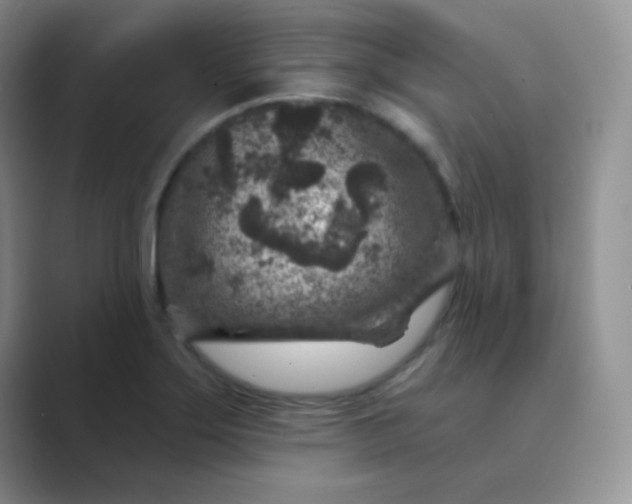 X0000089701275200707051637