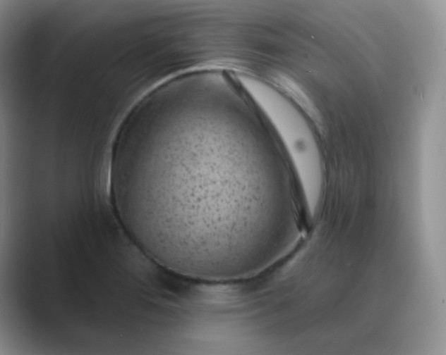 X0000089701276200707051637