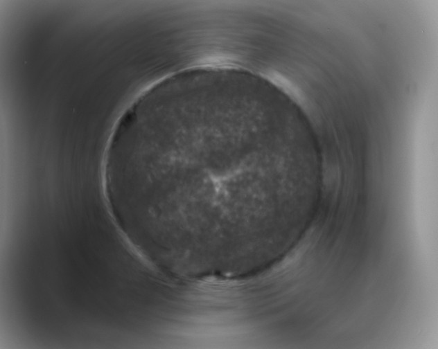 X0000089701277200707051637