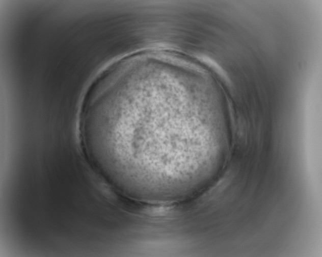 X0000089701278200707051637